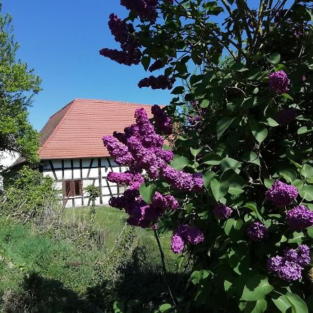 Gite Rue De L'Ange Hunspach Exteriér fotografie