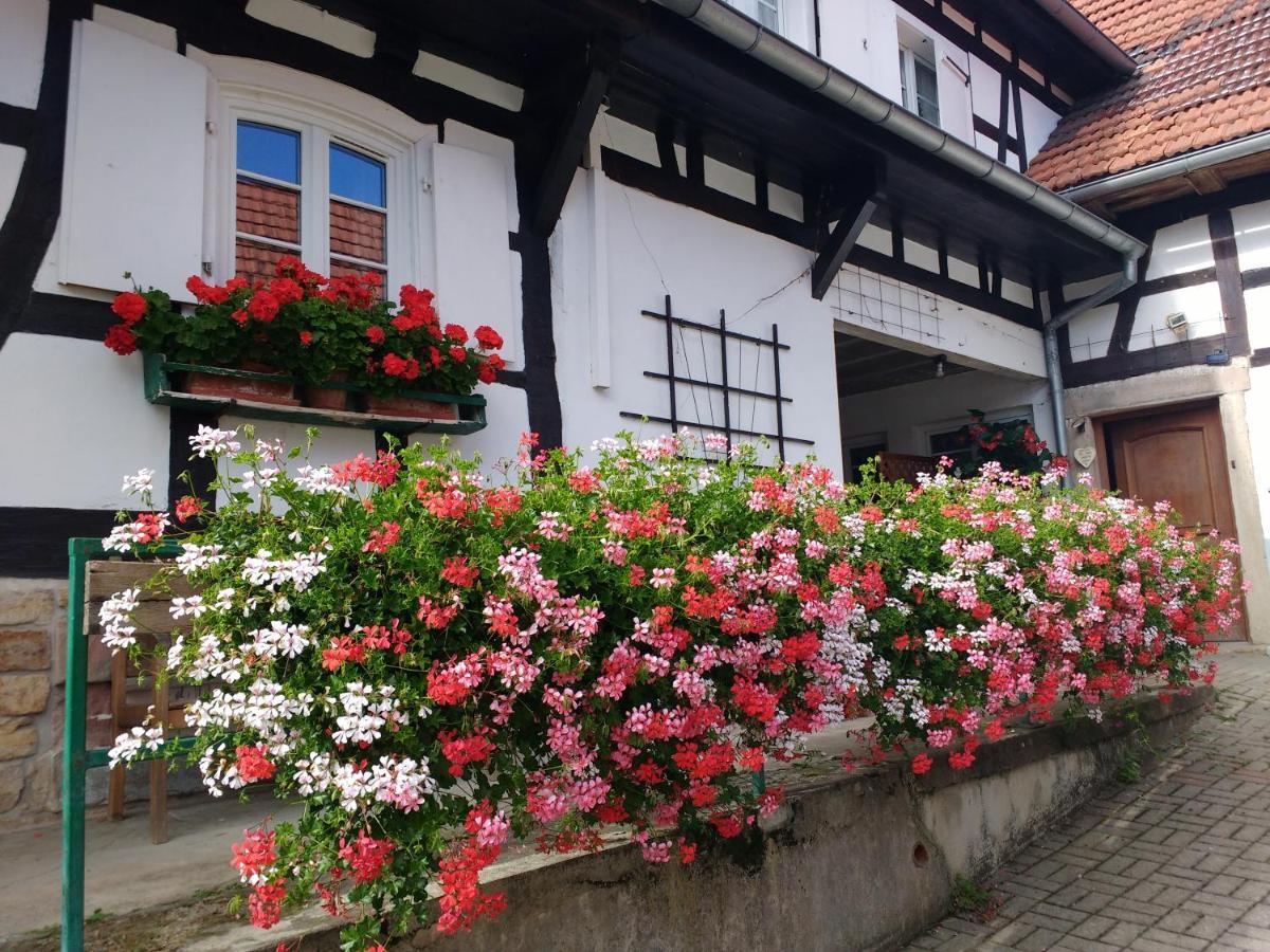 Gite Rue De L'Ange Hunspach Exteriér fotografie