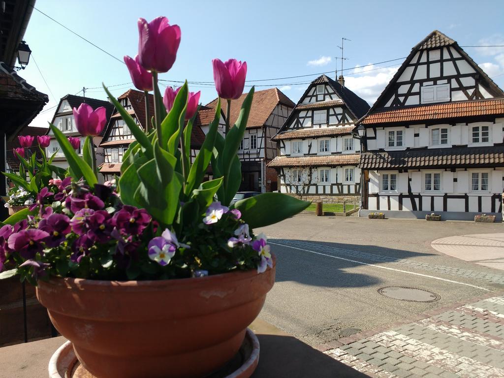 Gite Rue De L'Ange Hunspach Exteriér fotografie